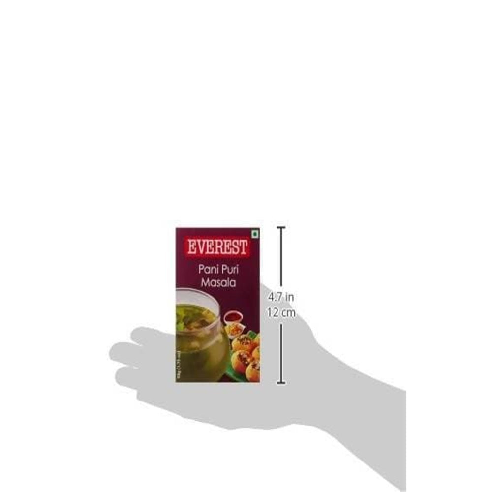 Everest Pani Puri Masala Powder Everest